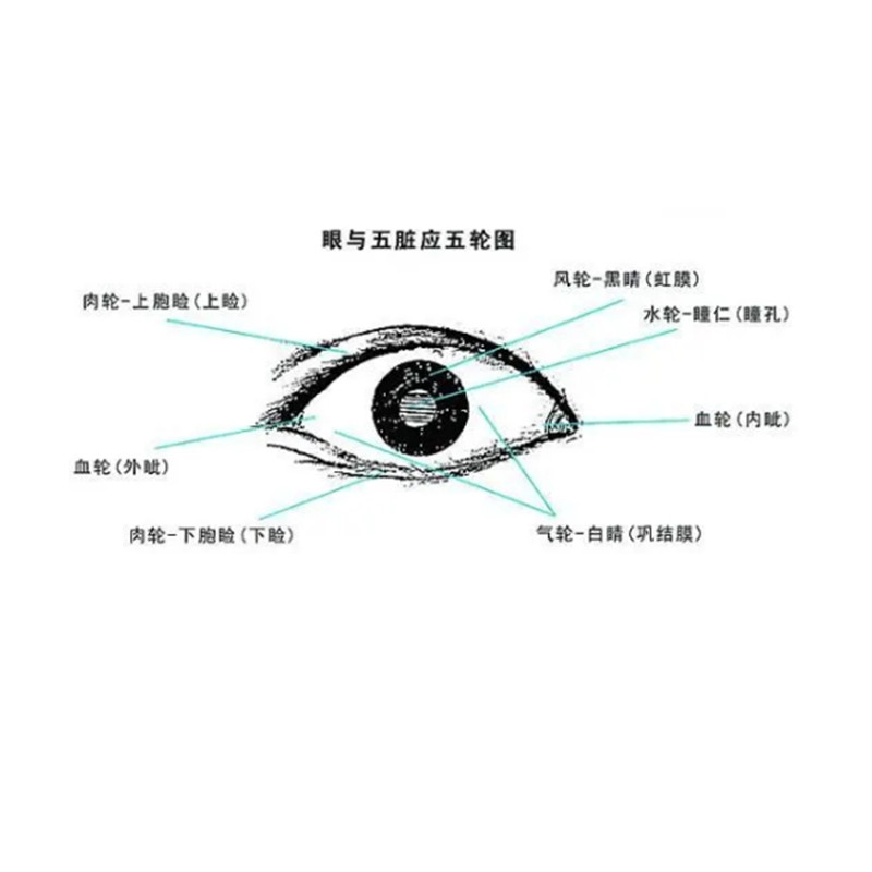 中醫五輪學(xué)說(shuō)